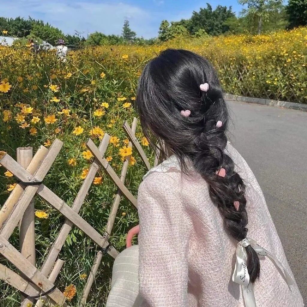 天鹅公主的圣诞节