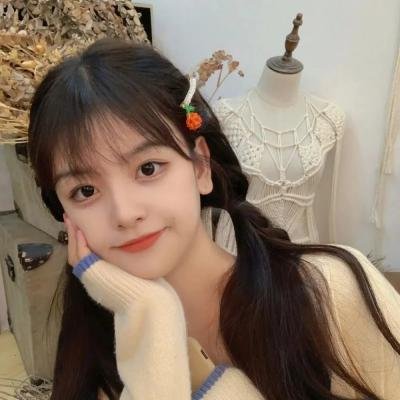 狐狸女士第二季